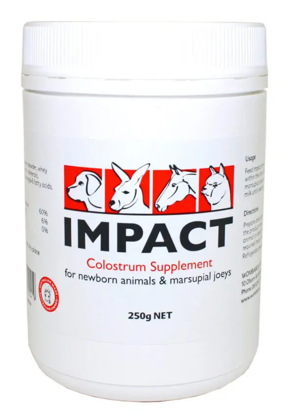 A container of impact colostrum supplement for horses.