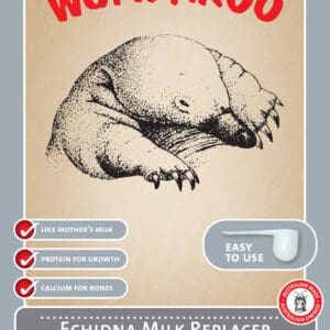 A poster of a bear with the words " worrywoo ".